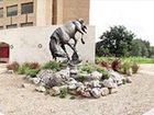 фото отеля BEST WESTERN PLUS Edinburg Inn & Suites