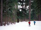 фото отеля Suncadia Resort Cle Elum