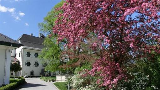 фото отеля Hotel Schloss Pichlarn