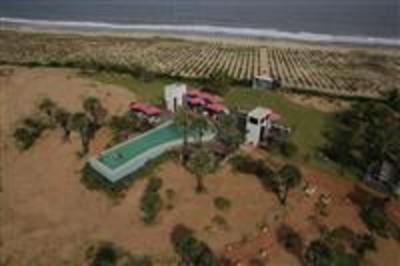 фото отеля The Dune Eco Beach Hotel