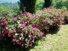 фото отеля IL Casello Country House Greve in Chianti