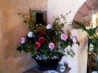 фото отеля IL Casello Country House Greve in Chianti