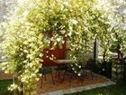 фото отеля IL Casello Country House Greve in Chianti