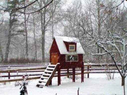 фото отеля Skansen Bed & Breakfast