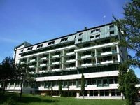 Hotel Bradul