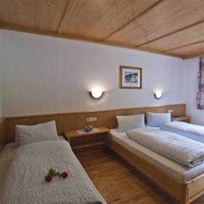 фото отеля Trixl Appartementhaus Fieberbrunn