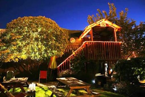 фото отеля The Villa Backpackers Lodge