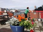 фото отеля Bergen YMCA Hostel