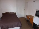 фото отеля Racecourse Backpackers Hostel
