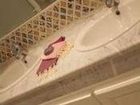 фото отеля Dar Amilcar Guest House Sidi Bou Said