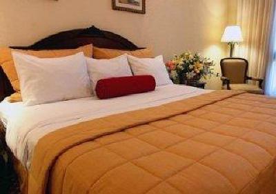 фото отеля Clarion Hotel Real Tegucigalpa