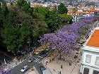 фото отеля Atlantida Apartments Funchal