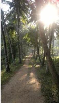 фото отеля Olappamanna Mana