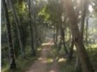 фото отеля Olappamanna Mana