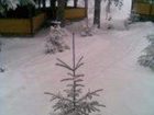 фото отеля Usad'ba Dikij med