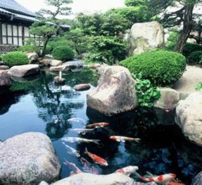 фото отеля Saginoyusou