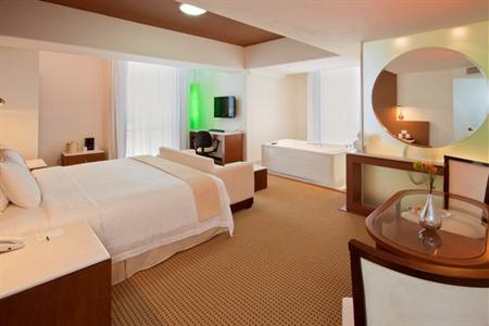 фото отеля Holiday Inn Salamanca