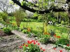 фото отеля Gasthof Hotel Zur Goldenen Krone Furth bei Gottweig