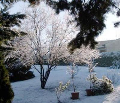 фото отеля Residence Casprini da Omero Apartment Greve in Chianti