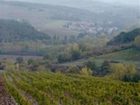 фото отеля Residence Casprini da Omero Apartment Greve in Chianti
