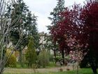 фото отеля Residence Casprini da Omero Apartment Greve in Chianti