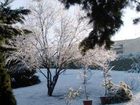 фото отеля Residence Casprini da Omero Apartment Greve in Chianti