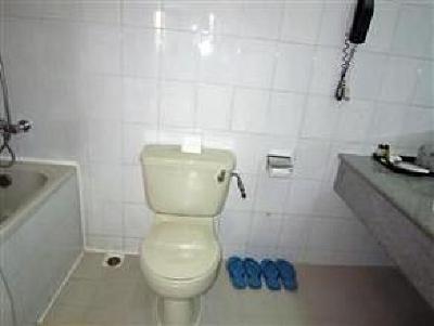 фото отеля Asian Hotel Ho Chi Minh City