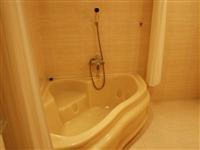 фото отеля Eldis Regent Hotel