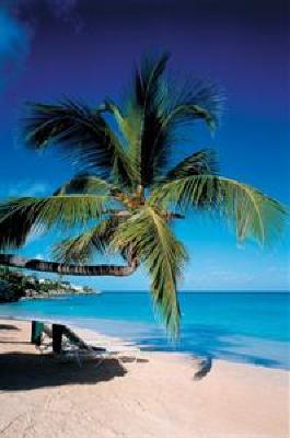 фото отеля Blue Waters Hotel St John's