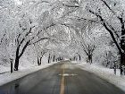 фото отеля Sorak Park