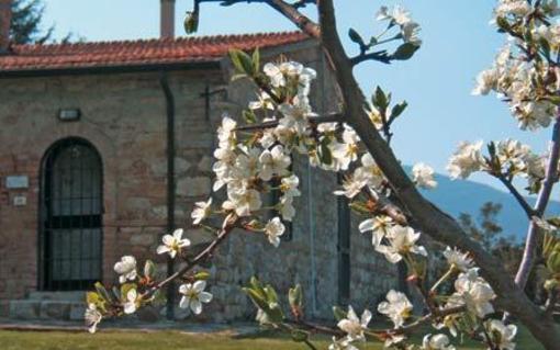 фото отеля Agriturismo Spazzavento
