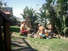 фото отеля Sugarshack Backpackers