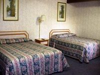 College Motel