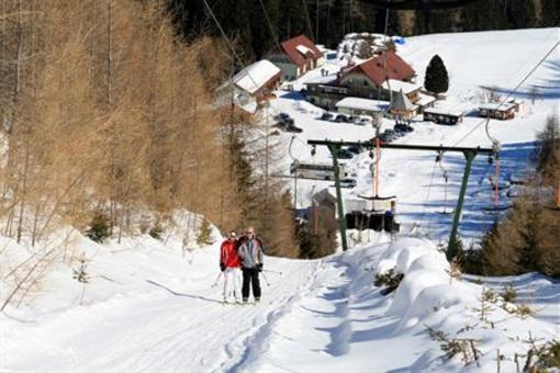 фото отеля Gasthof Rieseralm