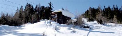 фото отеля Gasthof Rieseralm