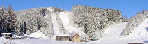 фото отеля Gasthof Rieseralm