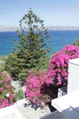 фото отеля Delfini Hotel Apartments Crete