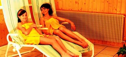 фото отеля Hotel Gasthof Lowen Marschalkenzimmern