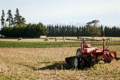 фото отеля Wagon Stays Luxury Bed & Breakfast Christchurch