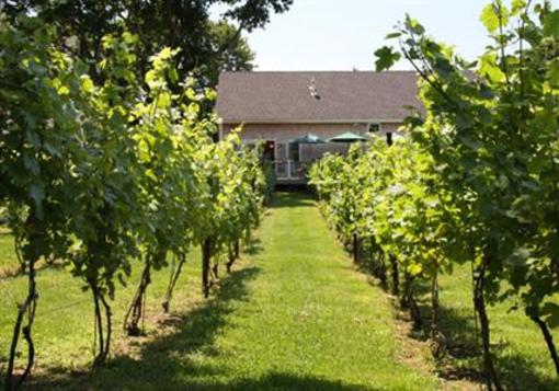 фото отеля Langworthy Farm Bed and Breakfast