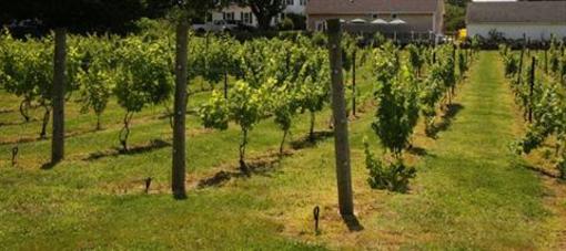 фото отеля Langworthy Farm Bed and Breakfast