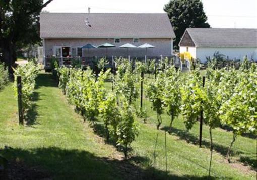 фото отеля Langworthy Farm Bed and Breakfast