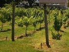 фото отеля Langworthy Farm Bed and Breakfast