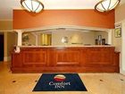 фото отеля Comfort Inn Mall of America