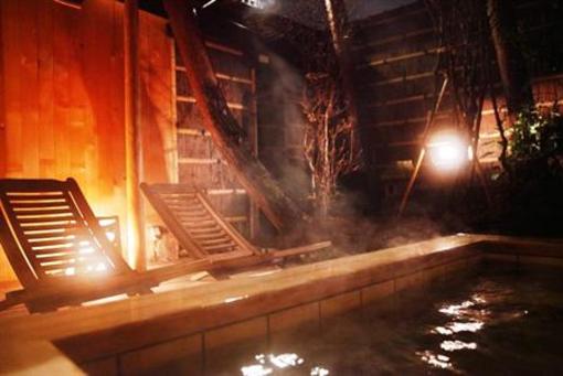 фото отеля Hanaougi Bettei Iiyama Ryokan Hotel Takayama