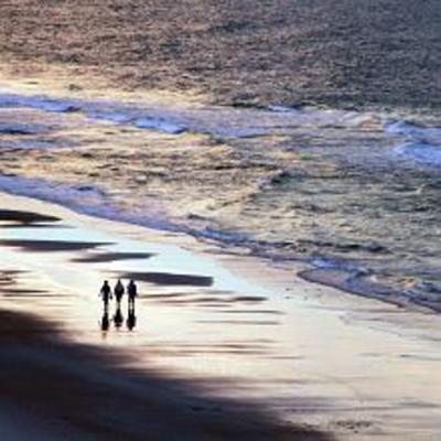 фото отеля The Cove on Ormond Beach