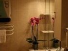 фото отеля Des Alpes Hotel Greoux les Bains