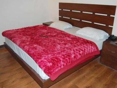 фото отеля Regency Shyam Sunder