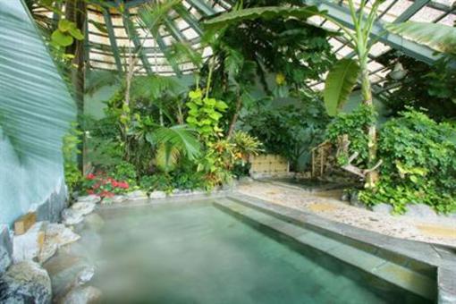 фото отеля Hotel Jungle Palace