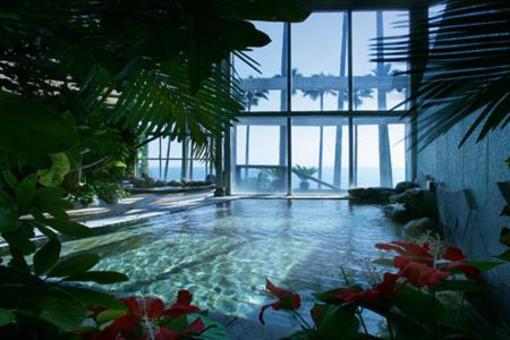 фото отеля Hotel Jungle Palace